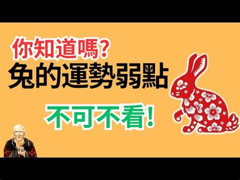 屬兔座向|【屬兔座向】肖兔座向及適合樓層 